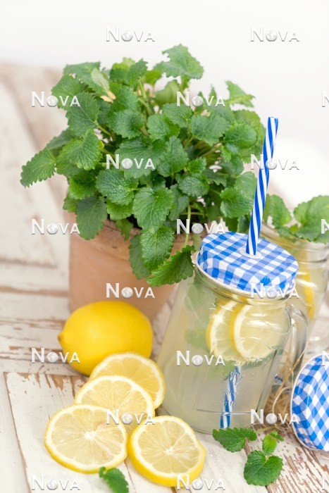 N1710258 Lemonade with Melissa officinalis