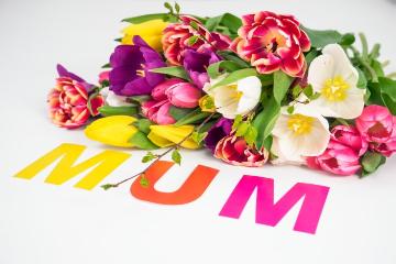 Mothers Day, Schnittblume, Tulipa (Genus), Tulpenstrauß