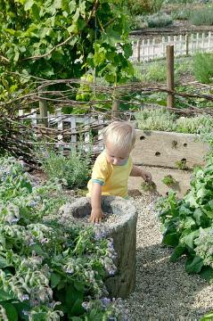 Garten, Kind, Kräutergarten, Spaß im Garten
