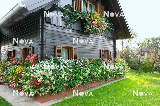 N1002407 Bauernhaus, Fensterkisterl und Blumenkisterl mit Sommerblumen
