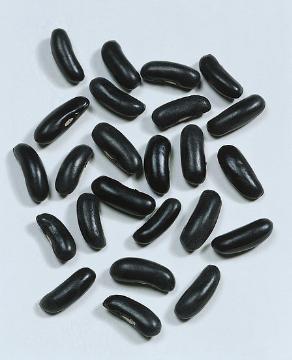 bean (Genus), Bohnen-Samen, seed