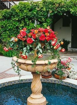 flower arrangement, fountain, garden design, Rosa (Genus)