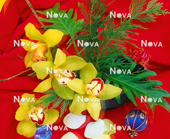 N2100280 Weihnachtsdekoration mit Orchideen