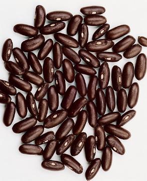 bean (Genus), Bohnen-Samen, seed