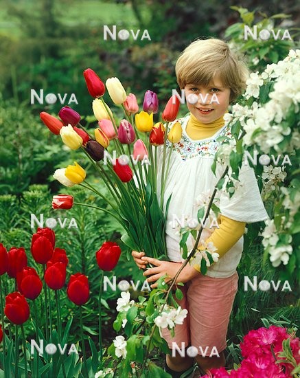 77 95 01 girl with bouquet of Tulipa Darwin mixed