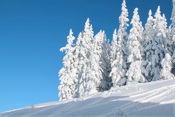 blauer Himmel, Schnee, Stimmungsbild, Winterlandschaft, Winterstimmung, Winterzauber, Winterzeit