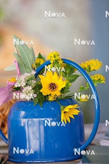 N2100836 Bouquet with fall flowers in watering can