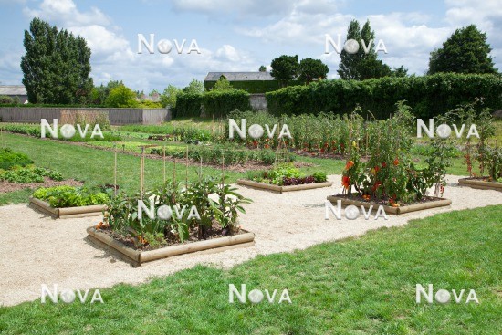 N1706025 Vegetable garden