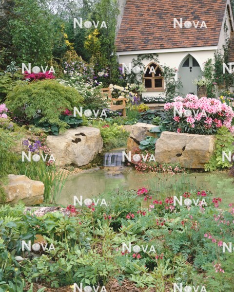 N1005067 Teich mit Blütenstauden, Ziergehölzen und Rhododendron