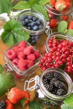 Beerenobst Mischung, Blackberry, impression, Raspberry, Red Currant, Strawberry, Vaccinium corymbosum