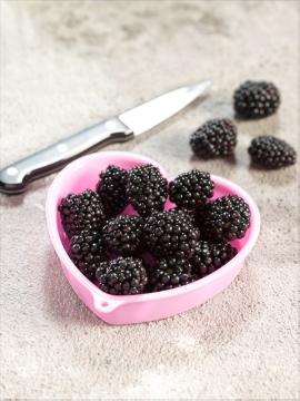 Beerenobst, Blackberry, Gesunde Ernährung, live healthy, Rubus (Genus)