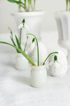 Frühling, Frühlingsstimmung, Galanthus elwesii, Ostereier, Ostern, Schnittblume, Vase