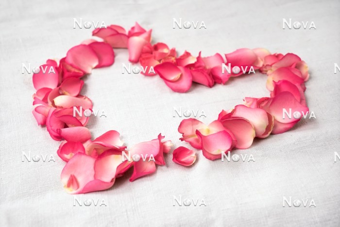 N2301553 Herz aus Rosenblütenblätter