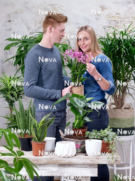 N1203301 Indoor plant mix with young woman and young man
