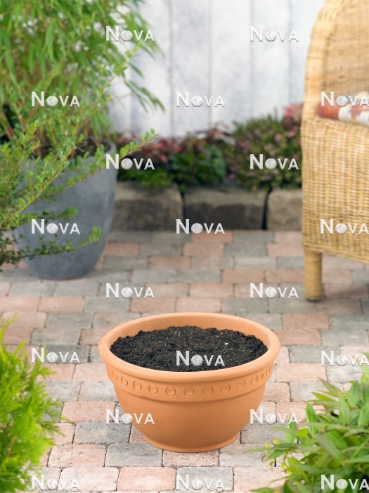 N2100555 Flower pot with soil