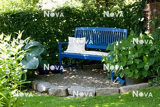 N1003456 Blue bench in the shade garden