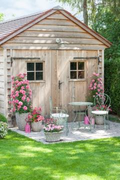 annuals mix, annuals, Garden Furniture, Gießkannen, Haus, Plant container «Accessories in the Garden», Rosa (Genus), terrace