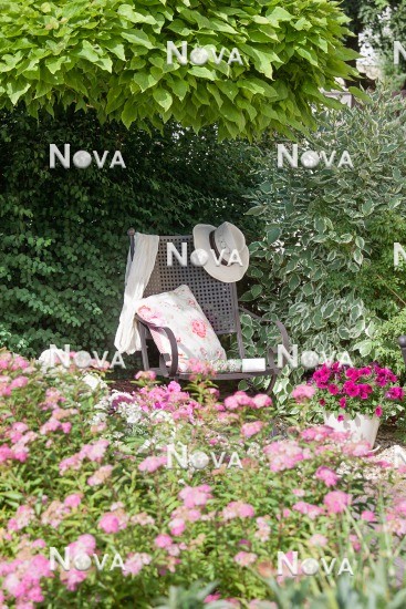 N1004626 Stimmungsbild mit Sessel und Sommerblumen