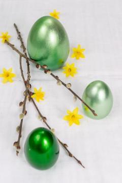 Easter eggs, Goat Willow, Narcissus Tete-a-Tete