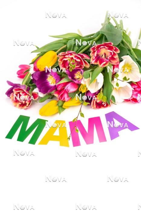N2301544 Muttertags Dekoration mit Tulpen