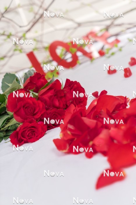 N2301582 Valentines Day Decoration with roses