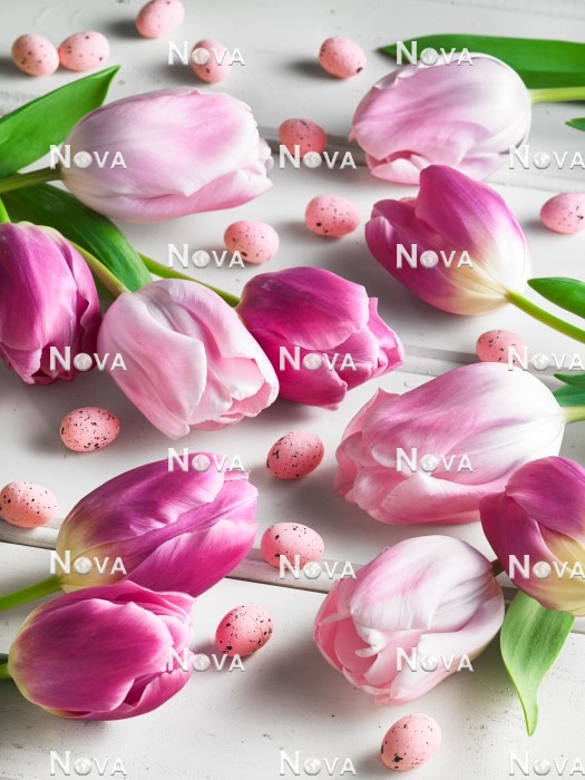 N2301593 Easter decoration with tulips