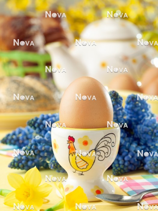 N2102271 Weiches Ei für Frühstück