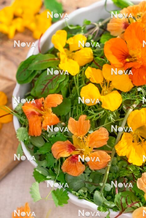 N2102389 Essbare Blüten im Salat