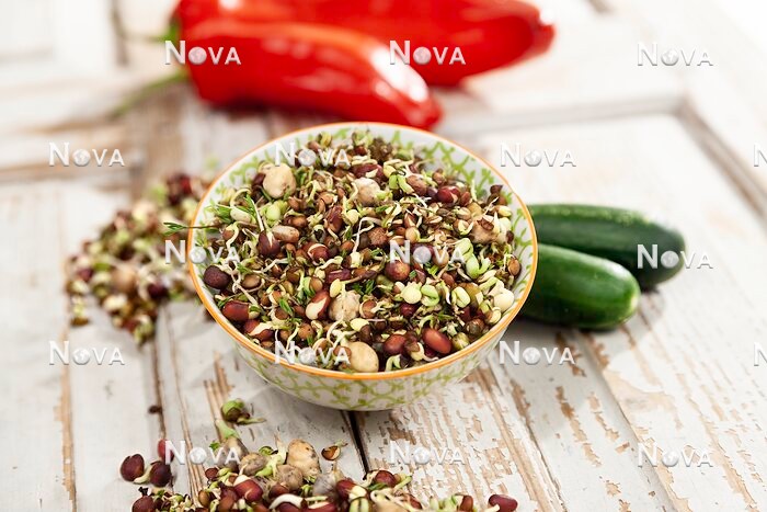 N1715550 Asia mix, sprouts