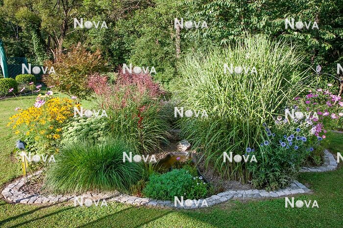 N0932989 Gardendesign with perennials, ornamental grassess
