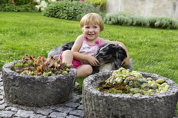 Dog, Garten, girl, Phlox paniculata, sansevieria (Genus), Succulent