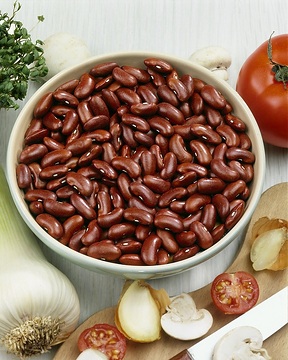 Bohnen-Samen, French Bean, seed