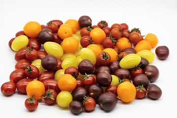 AY Etiket, Solanum lycopersicum