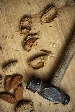 Almonds, AY Etiket, Werkzeug