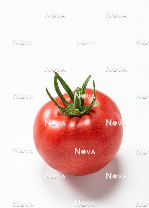 N1716910 Solanum lycopersicum
