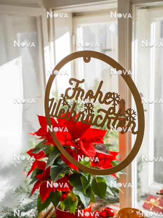 N2302333 Weihnachtsdekoration mit Euphorbia pulcherrima