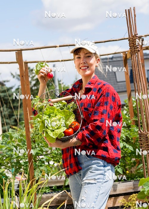 N2103253 Young woman in urban vegetable garden