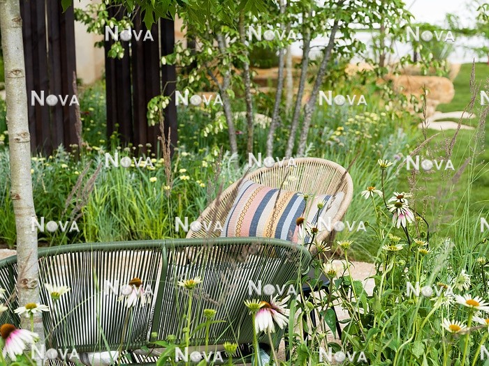 N1007933 Garden terrace with Echinacea