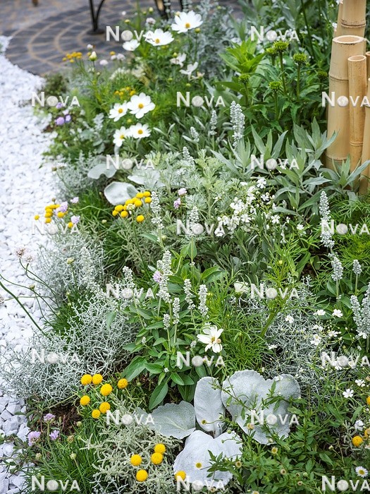 N1007900 Bepflanzung in weiß, grau und gelben Farbtönen