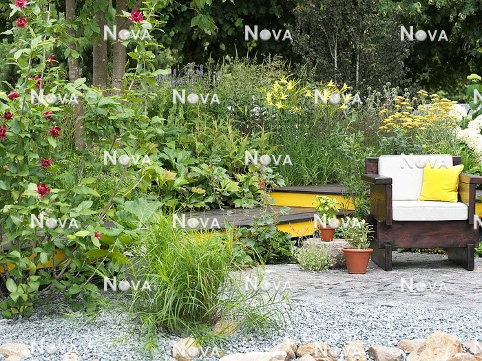 N1007945 Gartengestaltung mit gelben Farbtönen