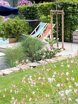 Gaura lindheimeri, Hydrangea paniculata, Liegestuhl, Recreation, terrace, Terrassengarten